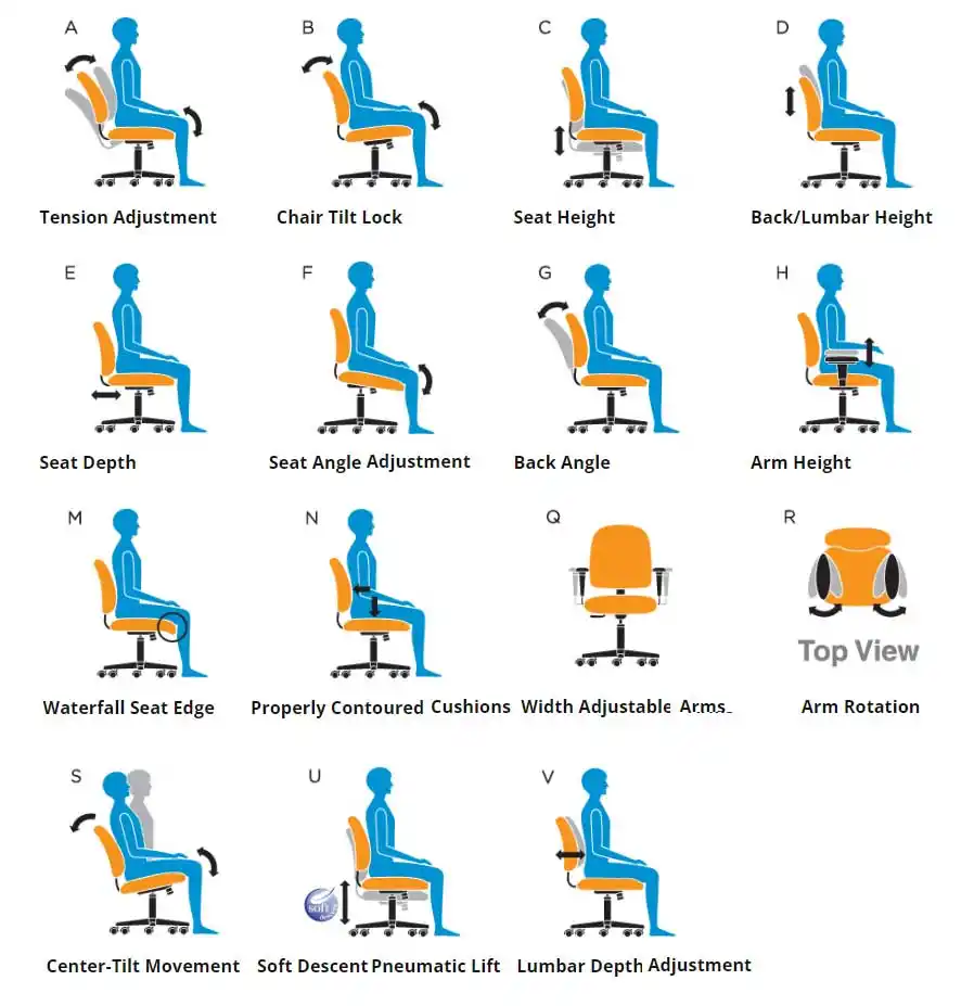 Graphic showing Global Furniture Group options for ergonomic chair adjustments